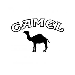 camel